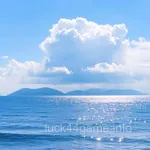 Avatar of Naeem Shah